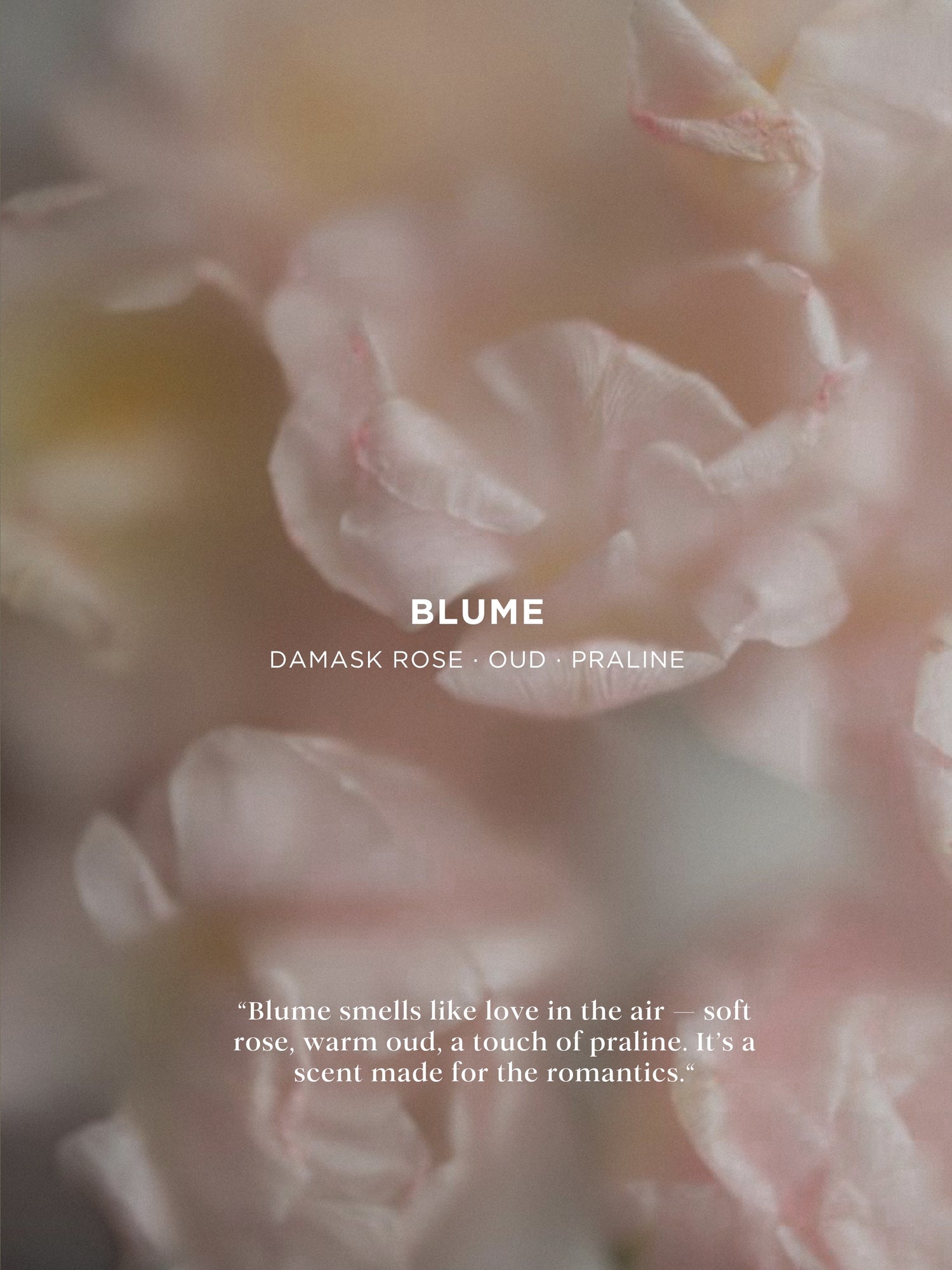 BLUME SOY WAX CANDLE
