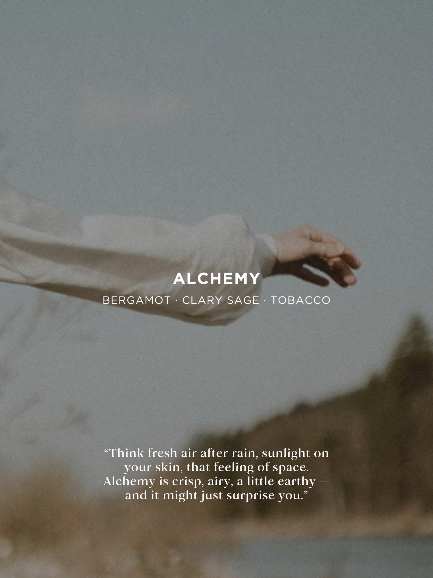 ALCHEMY SOY WAX CANDLE